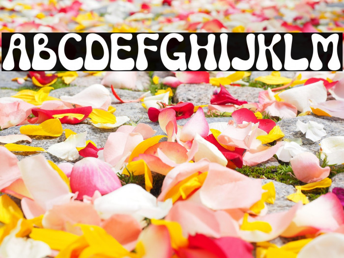 Mondice Regular Example 1