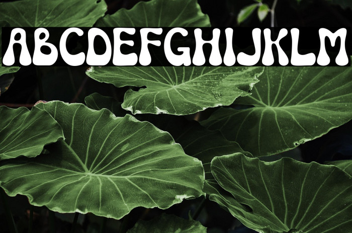 Mondice Regular Example 3