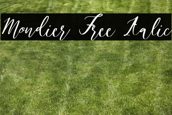 Mondier Free Italic Example 2