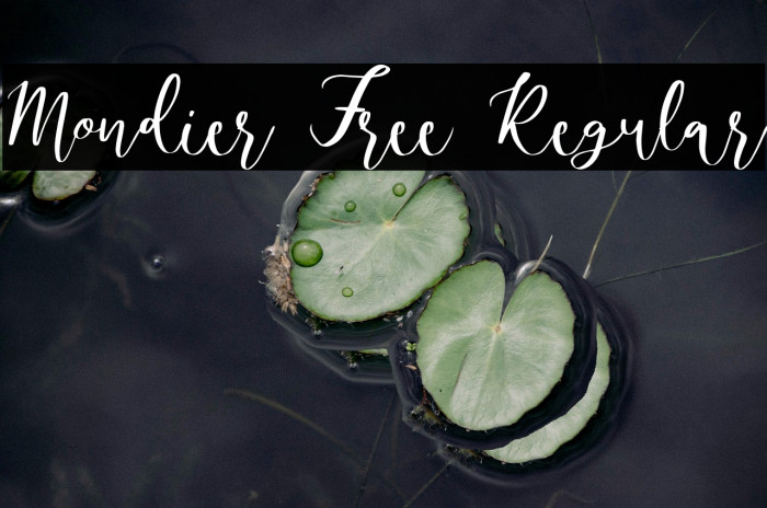 Mondier Free Regular Example 3