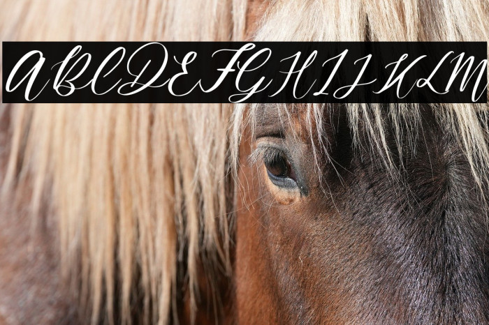 MondierFree-Italic Example 2