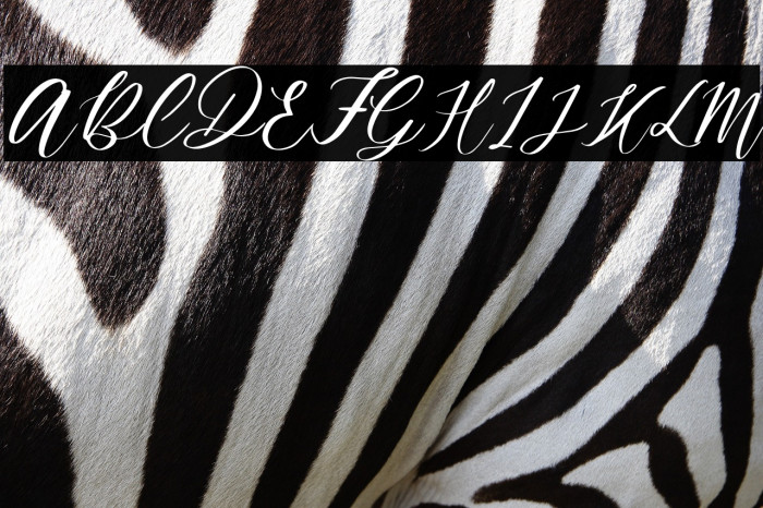 MondierFree-Italic Example 3