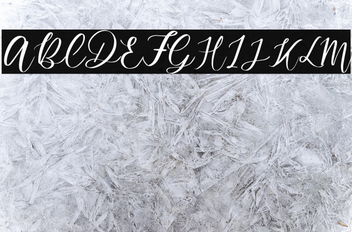 MondierFree-Regular Example 2