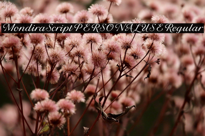 Mondira Script PERSONAL USE Regular Example 2