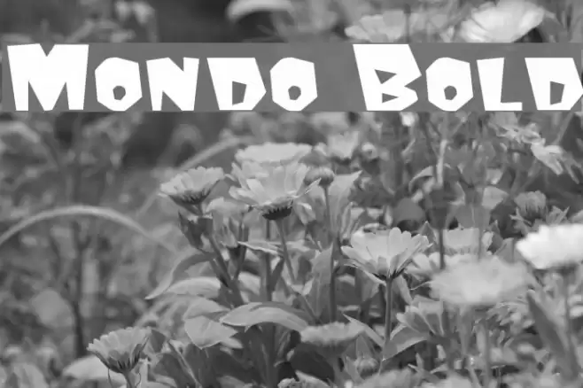 Mondo Bold Font examples