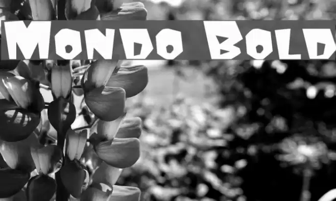 Mondo Bold Font examples