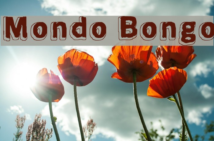 Mondo Bongo Шрифта examples.