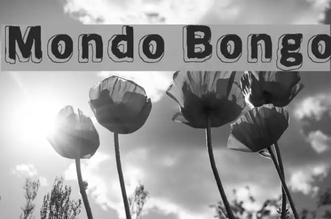 Mondo Bongo Example 3