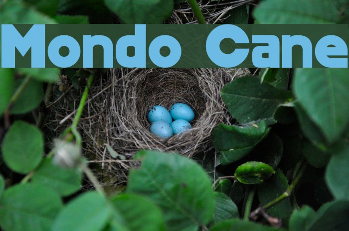 Mondo Cane Font examples