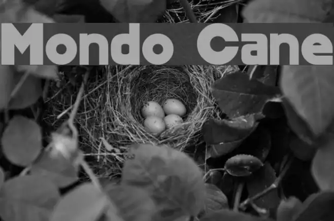 Mondo Cane Example 1