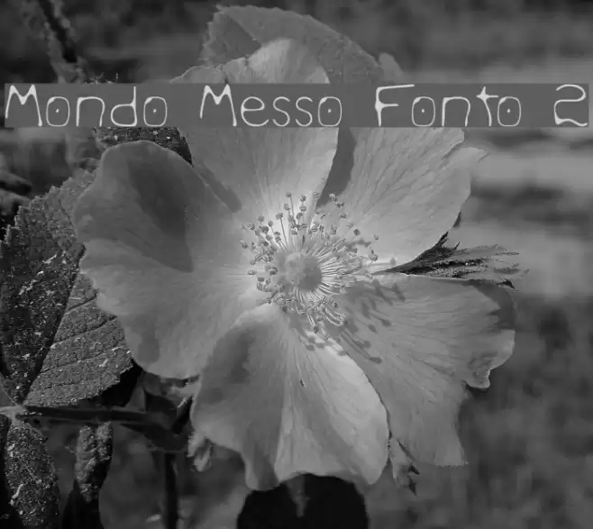 Mondo Messo Fonto 2 Font examples