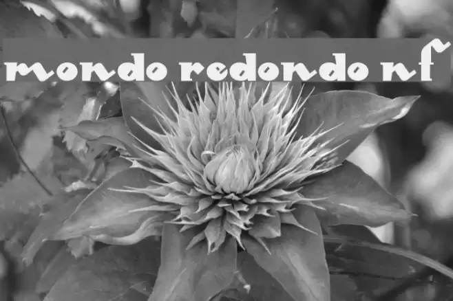 Mondo Redondo NF Font examples
