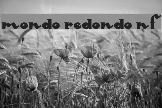 Mondo Redondo NF Font examples