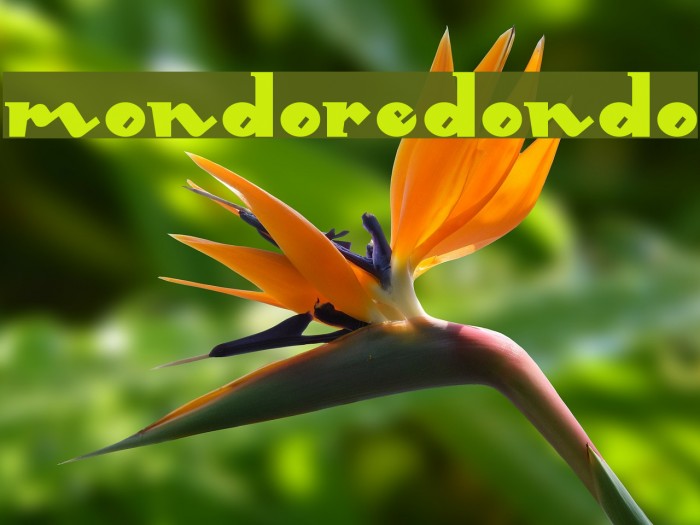 MondoRedondo Font examples