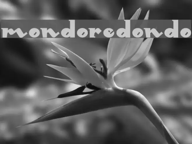 MondoRedondo Example 1