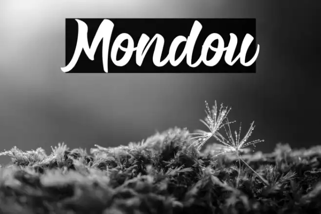 Mondou Example 1