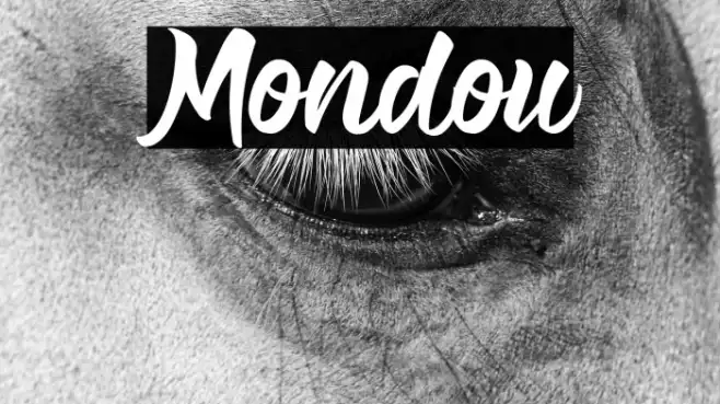 Mondou Example 3