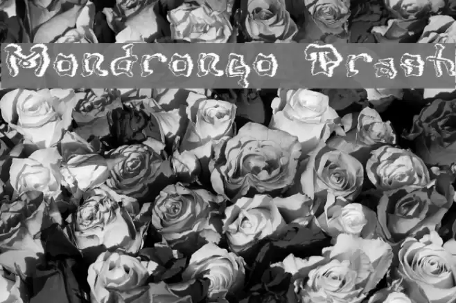 Mondrongo Trash Font examples