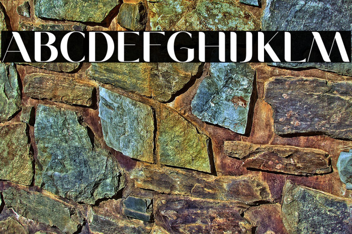 MoneaAlegante-Regular Example 1