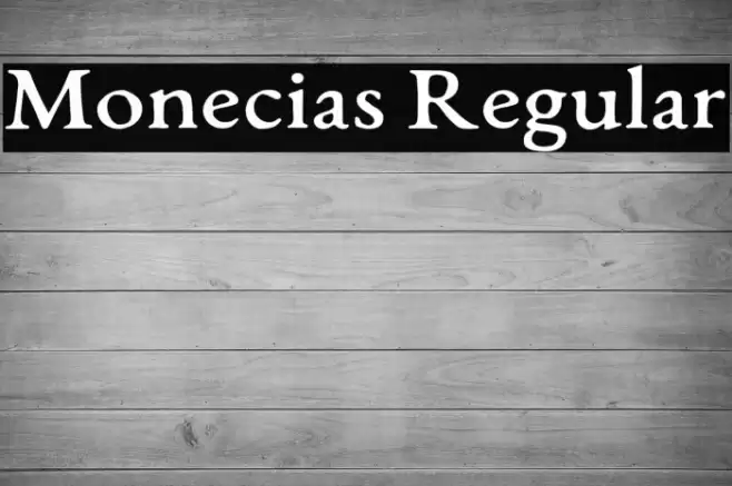 Monecias Regular Font examples