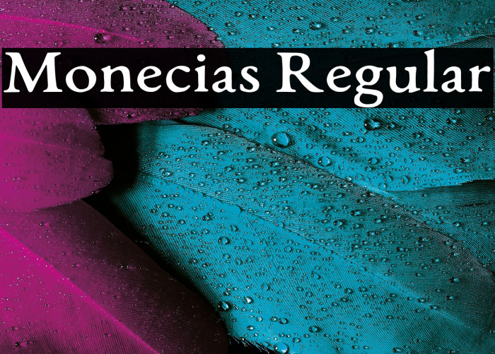 Monecias Regular Example 2