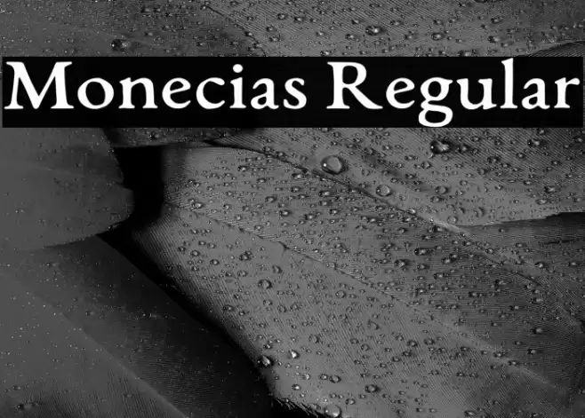 Monecias Regular Font examples