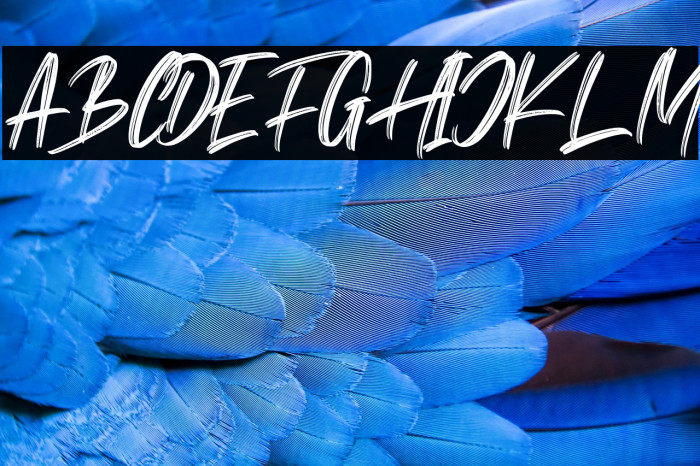 Monera Calm Example 1