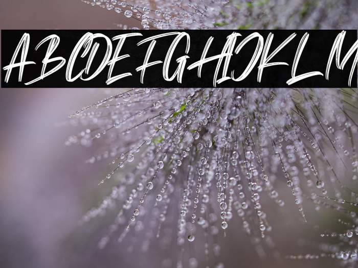 Monera Calm Example 2