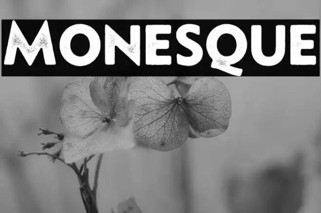 Monesque Font examples