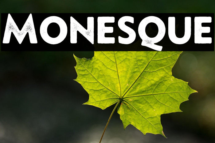 Monesque Example 2