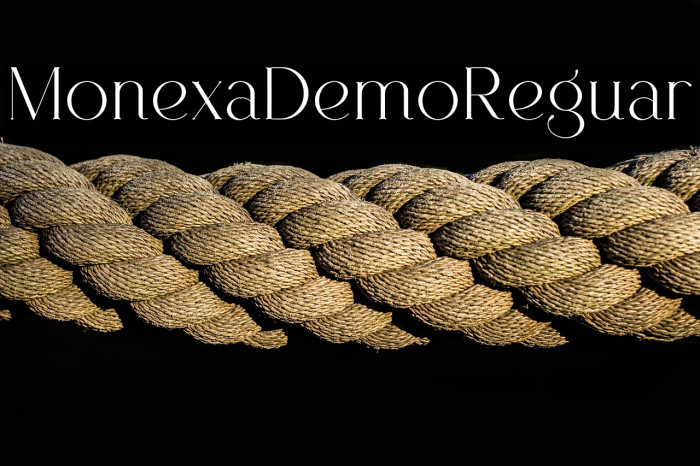 Monexa Demo Regular Example 1