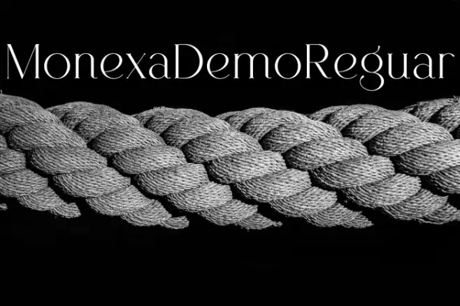 Monexa Demo Regular Example 1