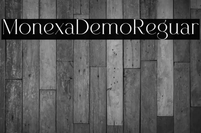 Monexa Demo Regular Example 2