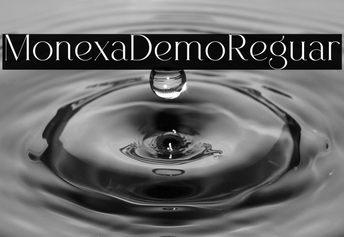 Monexa Demo Regular Example 3