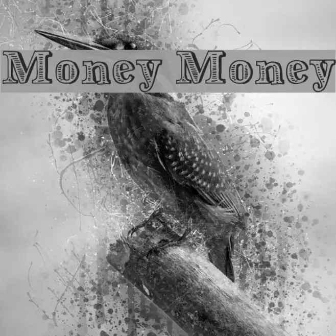 Money Money Example 1
