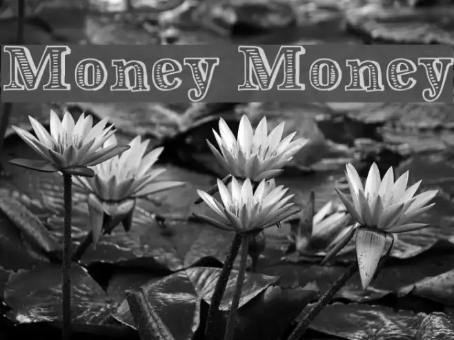 Money Money Example 2