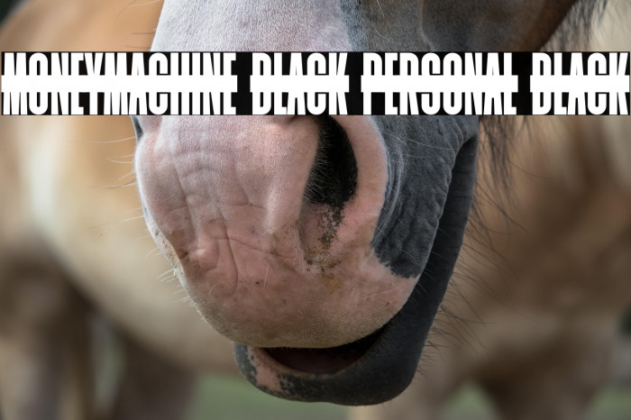 Moneymachine Black PERSONAL Black Example 1