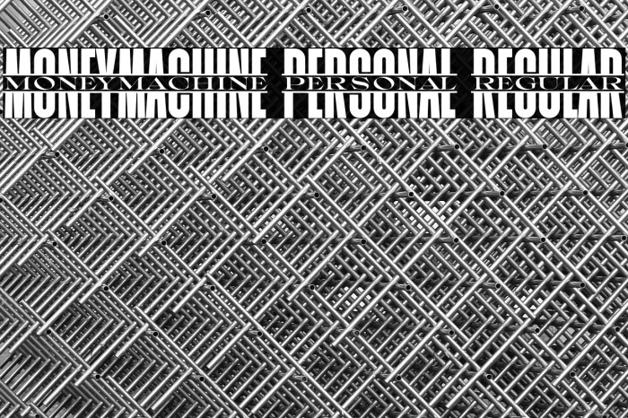 Moneymachine PERSONAL Regular Example 1