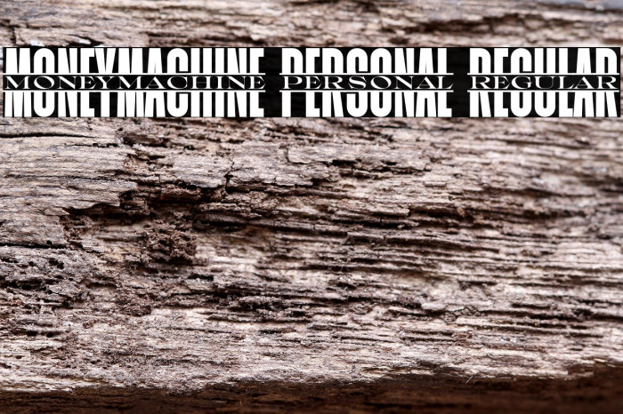 Moneymachine PERSONAL Regular Example 3