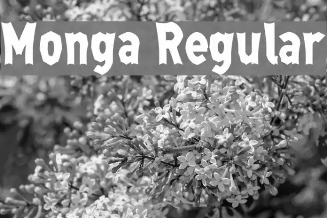 Monga Regular Font examples