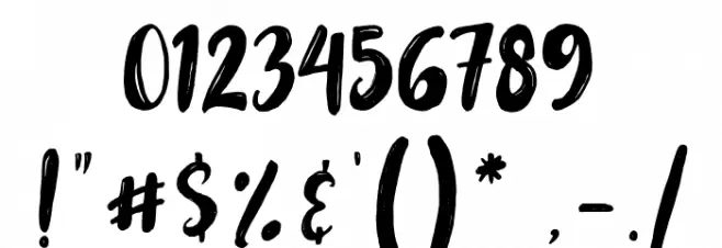 MongnaiScript Font OTHER CHARS