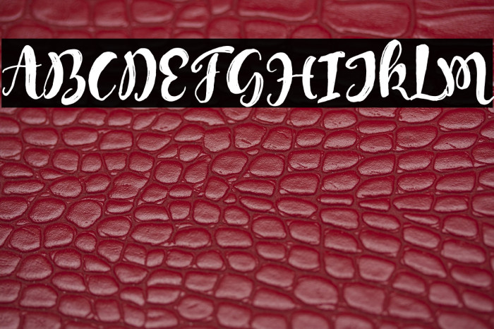 MongnaiScript Example 3