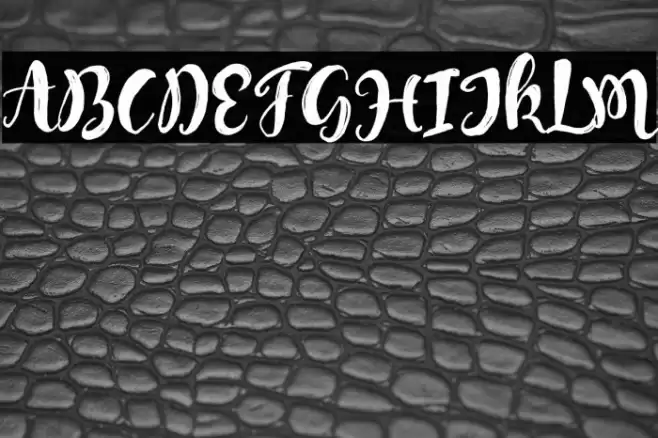 MongnaiScript Font examples