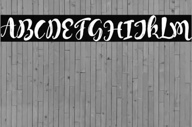 MongnaiScript Font examples