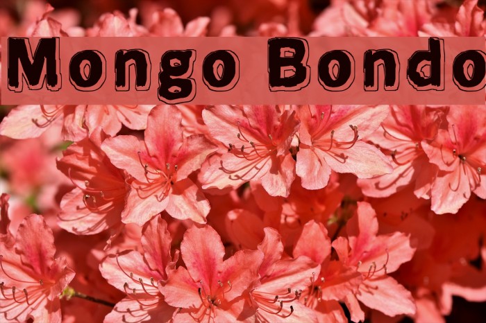 Mongo Bondo Font examples