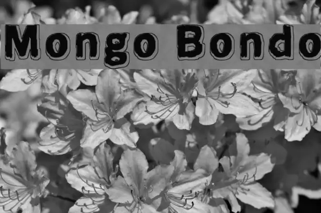Mongo Bondo Example 2
