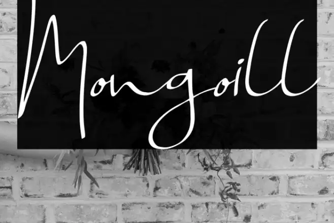 Mongoill Example 1