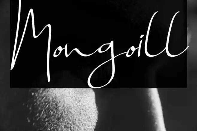 Mongoill Example 2