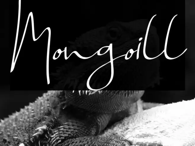 Mongoill Example 3