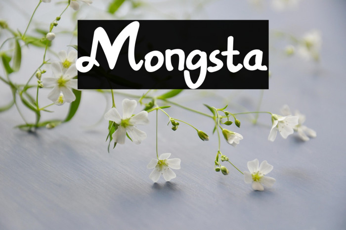 Mongsta Example 3